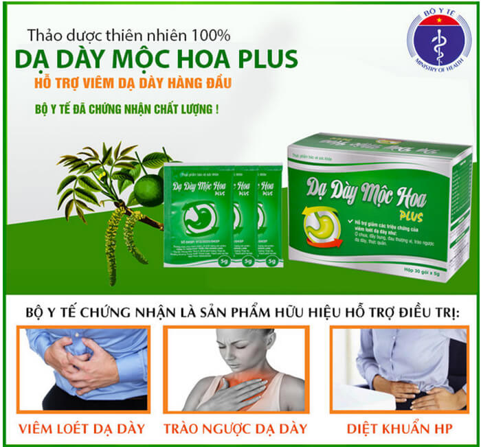 da day moc hoa anh 0001